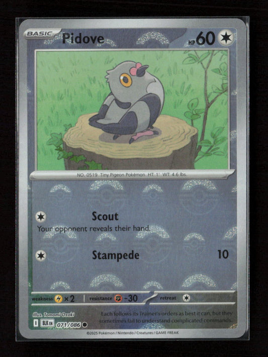 Pidove (Poke Ball Pattern) Common SV: Black Bolt 071/086 NM