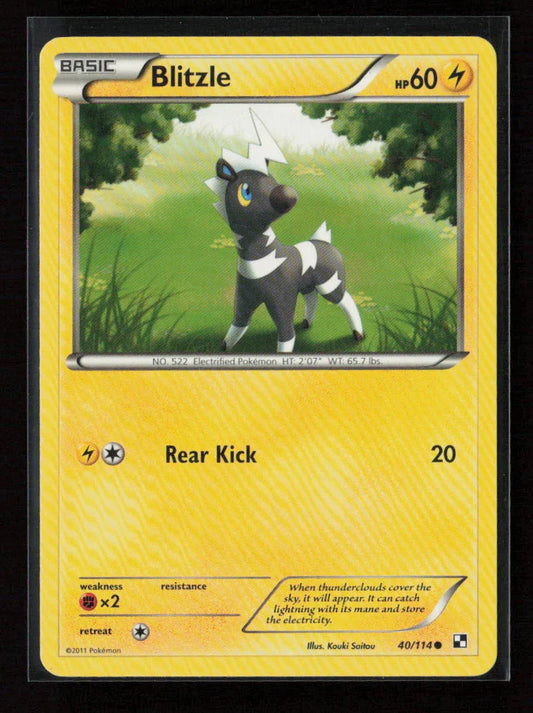 Blitzle (40) Common Black and White 40/114 LP - Kang's Collectibles