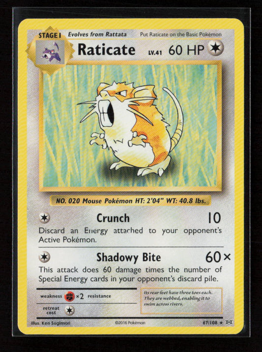 Raticate Rare XY - Evolutions 67/108 LP