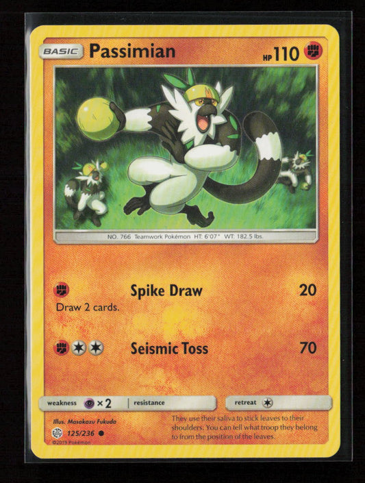 Passimian Common SM - Cosmic Eclipse 125/236 LP