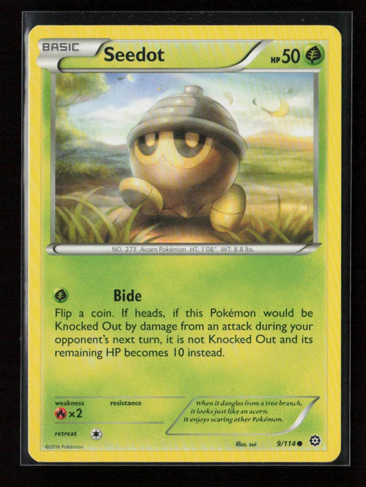 Seedot Common XY - Steam Siege 9/114 NM - Kang's Collectibles