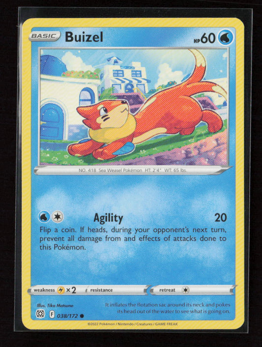 Buizel Common SWSH09: Brilliant Stars 038/172 LP