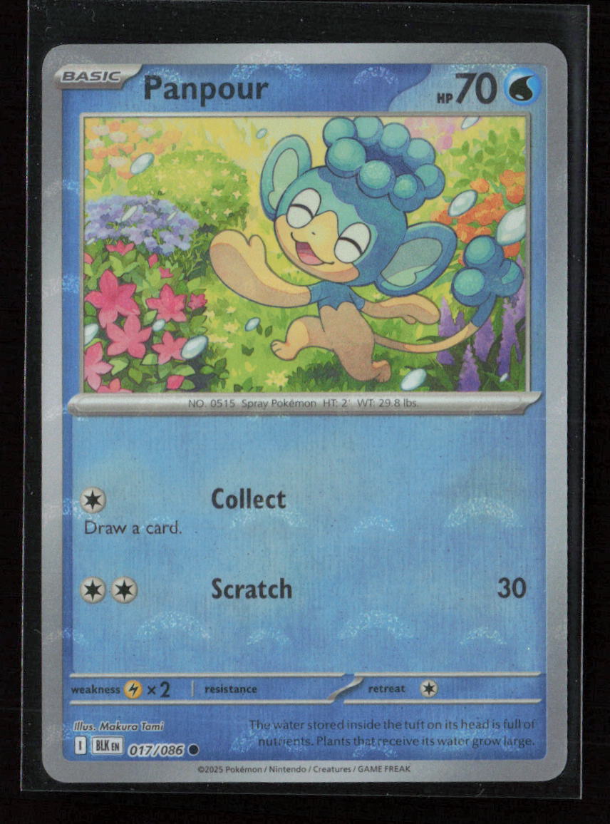 Panpour (Poke Ball Pattern) Common SV: Black Bolt 017/086 NM