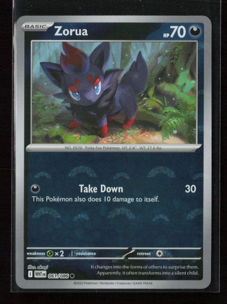 Zorua (Poke Ball Pattern) Common SV: White Flare 061/086 NM