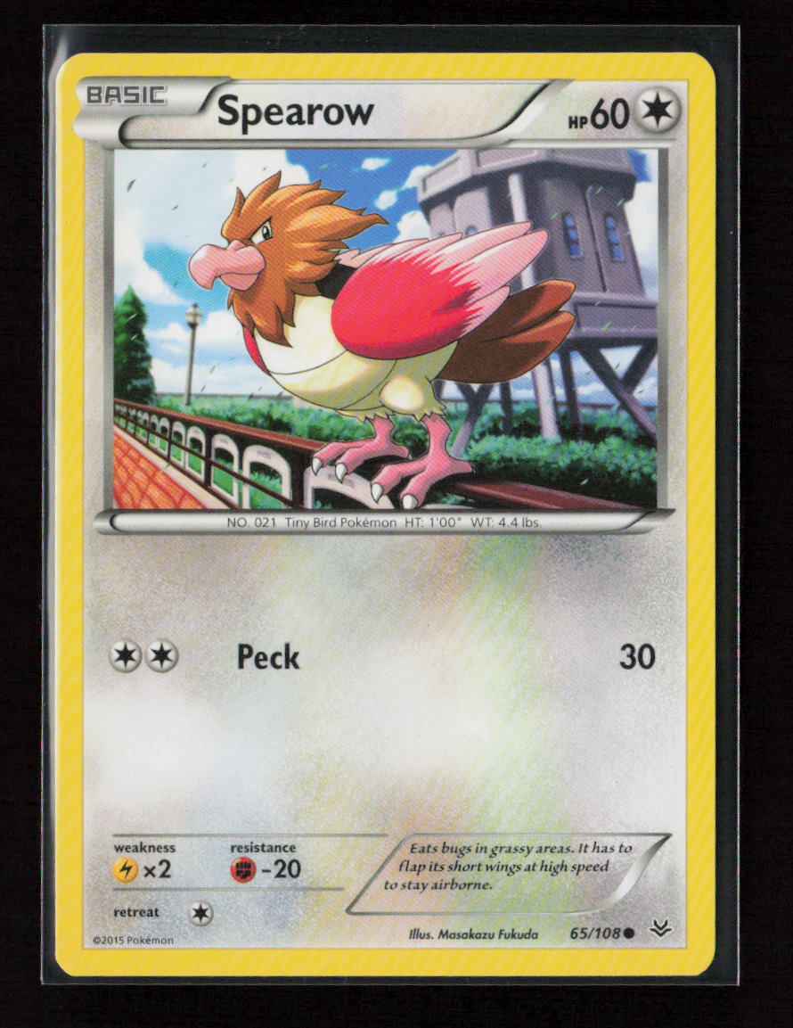 Spearow Common XY - Roaring Skies 65/108 LP