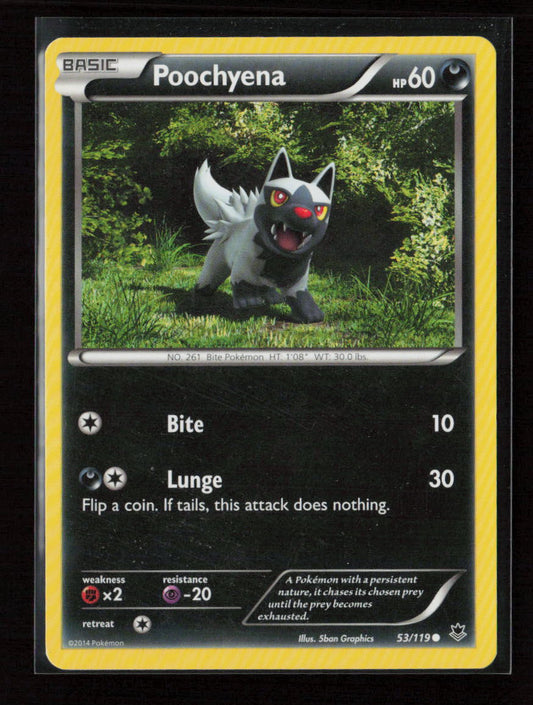 Poochyena Common XY - Phantom Forces 53/119 LP