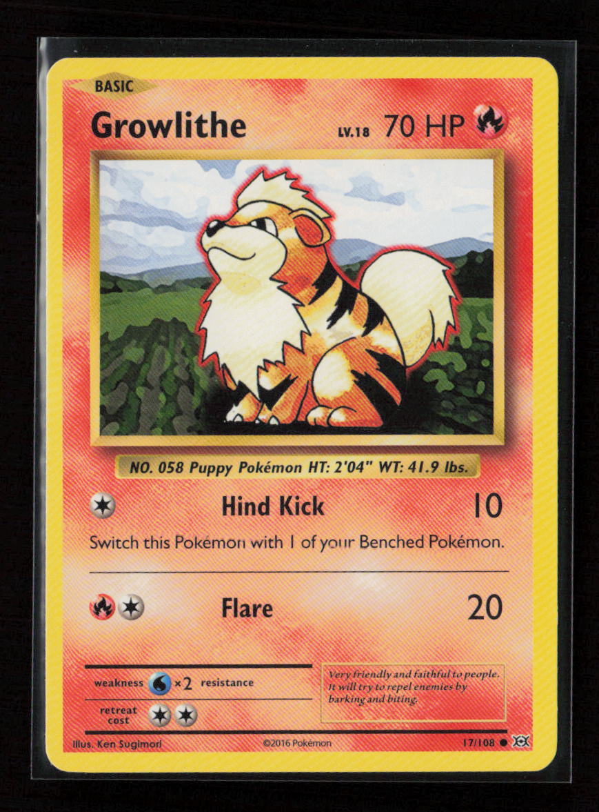 Growlithe Common XY - Evolutions 17/108 LP
