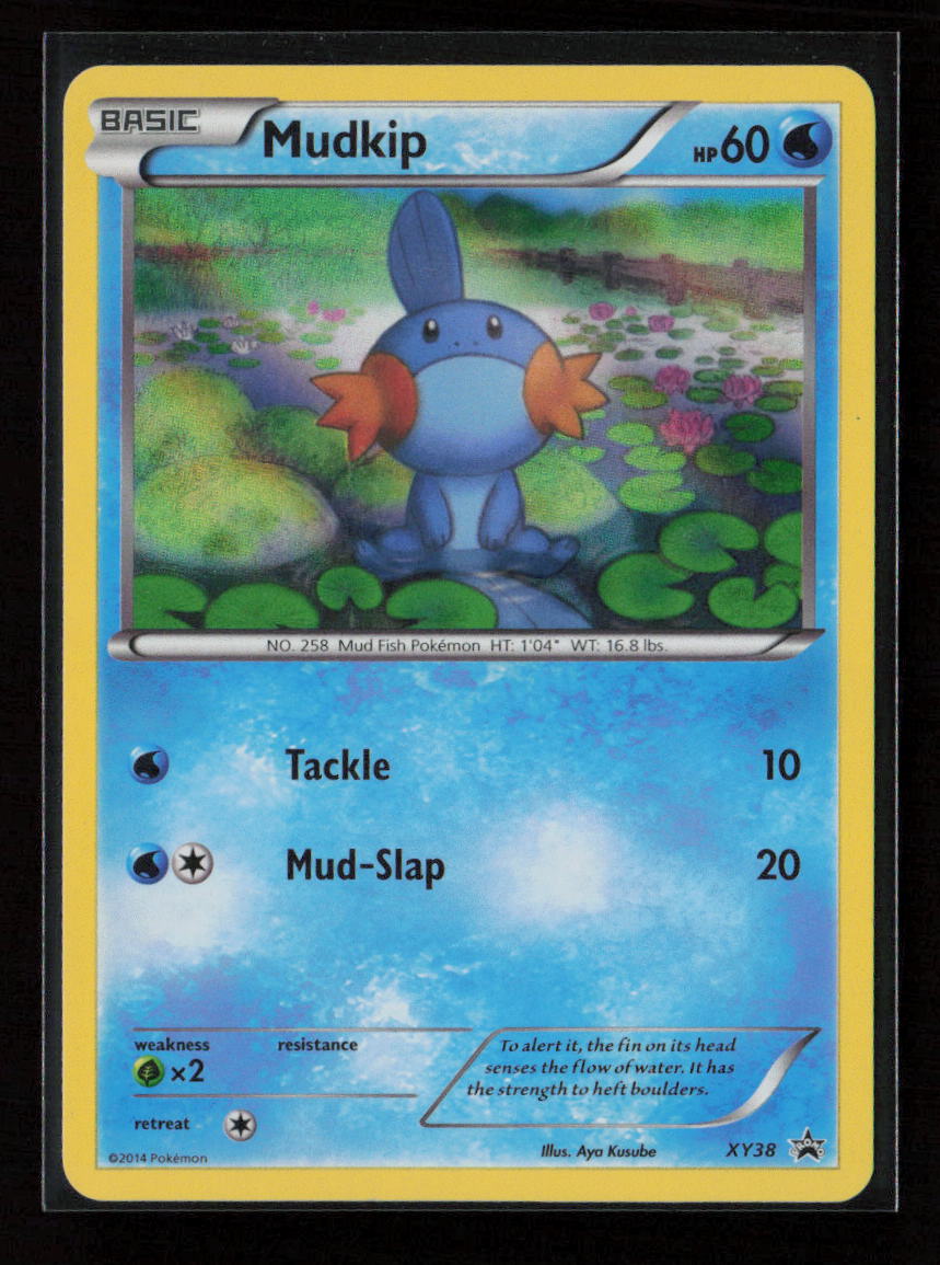 Mudkip - Promo XY Promos XY38 LP