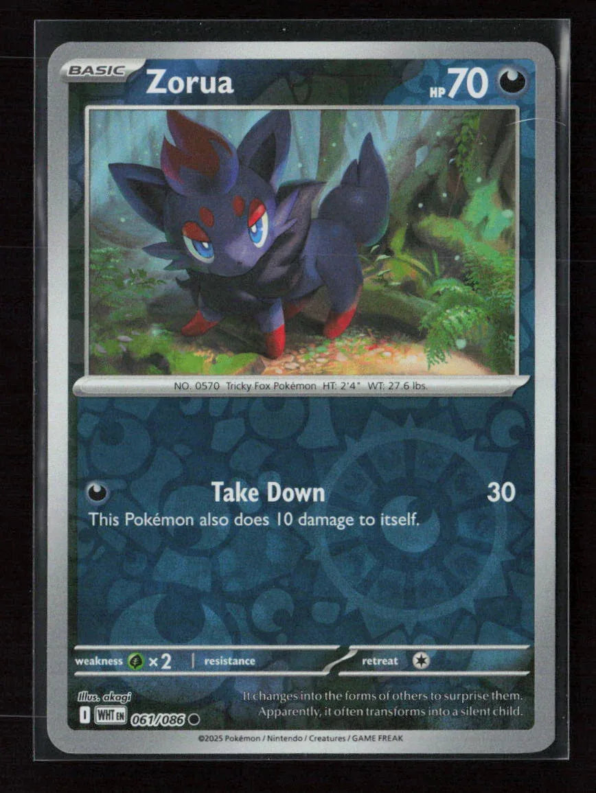 Zorua Common SV: White Flare 061/086 NM