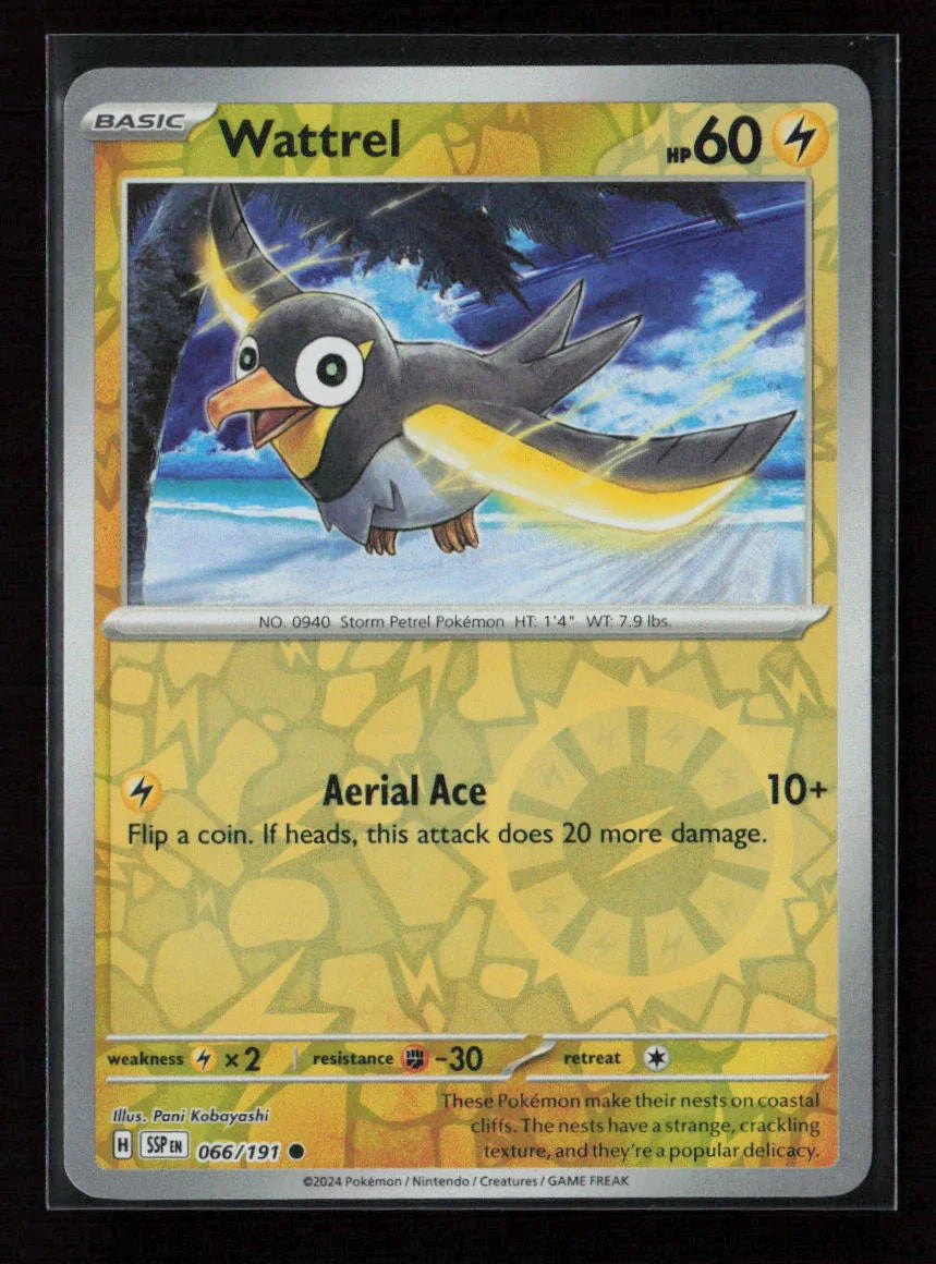 Wattrel Common SV08: Surging Sparks 066/191 NM - Kang's Collectibles