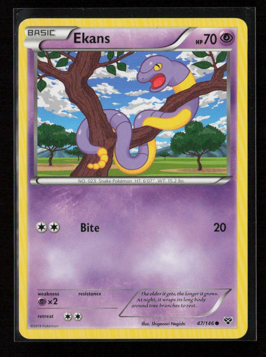 Ekans Common XY Base Set 47/146 NM - Kang's Collectibles