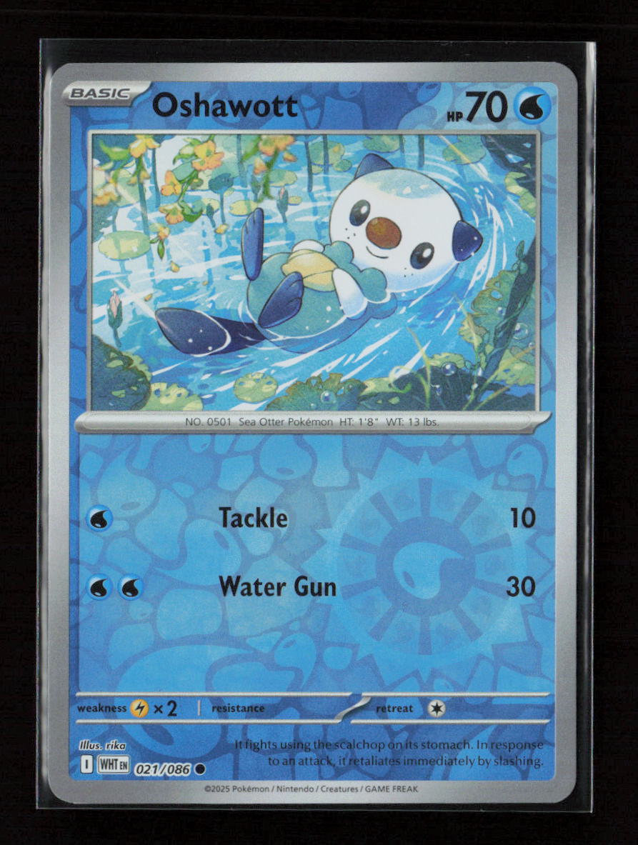 Oshawott Common SV: White Flare 021/086 NM