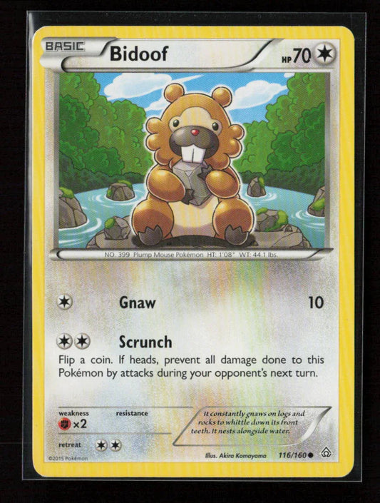 Bidoof Common XY - Primal Clash 116/160 NM - Kang's Collectibles
