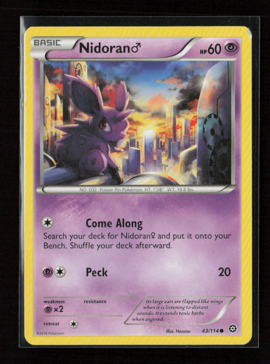 Nidoran M Common XY - Steam Siege 43/114 MP