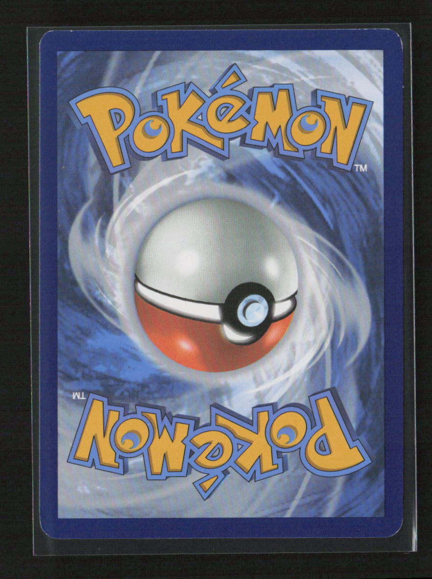 Phanpy Common SWSH12: Silver Tempest 091/195 LP (Back)