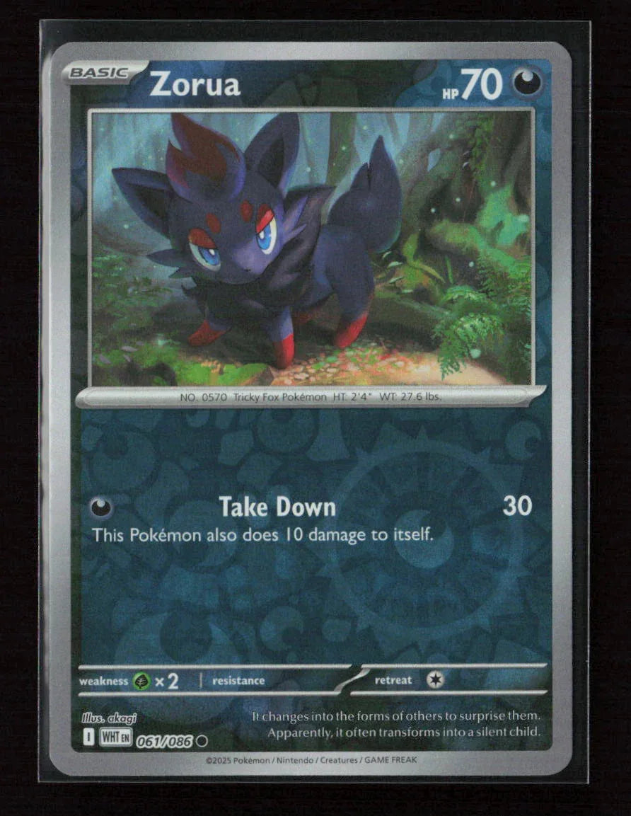 Zorua Common SV: White Flare 061/086 NM - Kang's Collectibles