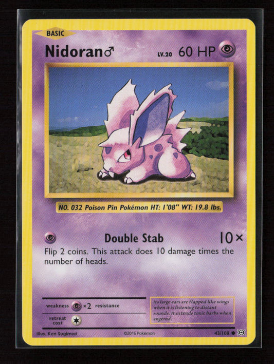 Nidoran M Common XY - Evolutions 43/108 LP