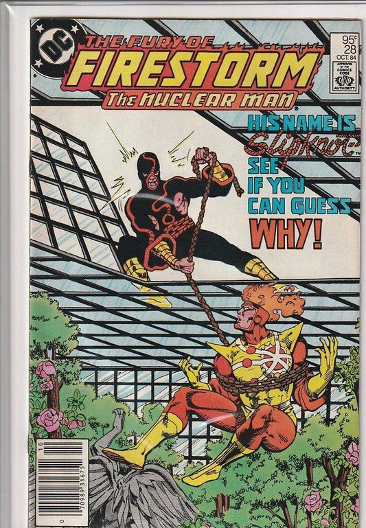 Firestorm #28 - Kang's Collectibles